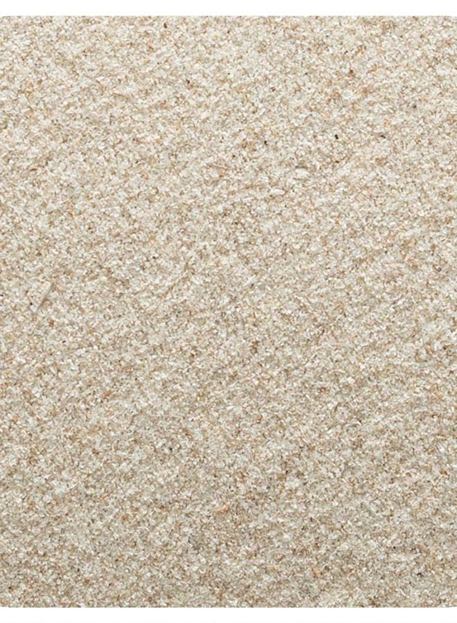 Organic Psyllium Husk Powder 16 oz (453 g)
