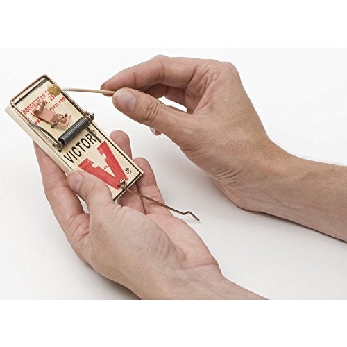 Victor Metal Pedal Mouse Trap - M023 - Wood Mouse Trap, Brown, 2 Count (Pack of 1) - Image 5