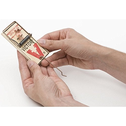 Victor Metal Pedal Mouse Trap - M023 - Wood Mouse Trap, Brown, 2 Count (Pack of 1) - Image 4