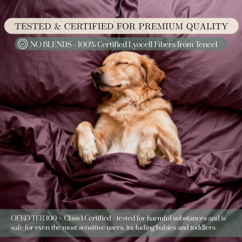 CASILVA Eucalyptus Sheets - Infused with Silver for Anti-Odor, Softer Than Silk Fibers, More Cooling Than Cotton - Perfect for Hot Sleepers & Sensitive Skin - 100% Tencel Lyocell - King Sheet Set - Image 5