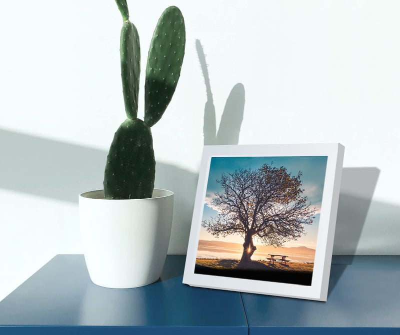 Lekaiya 8x8 إطارات صور بيضاء مجموعة من 2 إطار صورة الخشب الصلبة مربعا للمنص أو تصاعد الجدار - Image 5