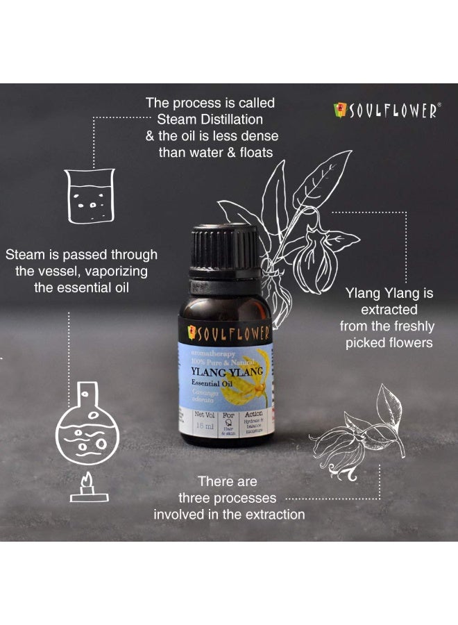 Soulflower Ylang Essential Oil for Strengthen Hair Roots, Control Hair Fall, Skin Moisture, Controls Acne, Aromatherapy - 100% Pure, Natural & Undiluted Premium Essential Oil, 15ml - Image 4