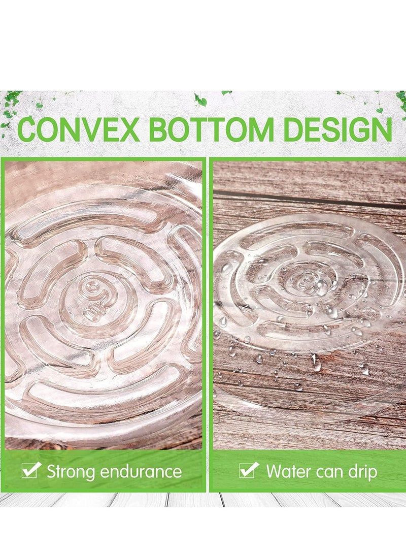 SOLARAE Plastic Plant Saucer Thickened Drip Trays 6 Inch Clear Water Plate Dish for Pot Indoor Outdoor Garden Container Planters Drainage Deep 30 Pcs - Image 4