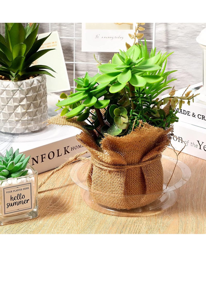 SOLARAE Plastic Plant Saucer Thickened Drip Trays 6 Inch Clear Water Plate Dish for Pot Indoor Outdoor Garden Container Planters Drainage Deep 30 Pcs - Image 5