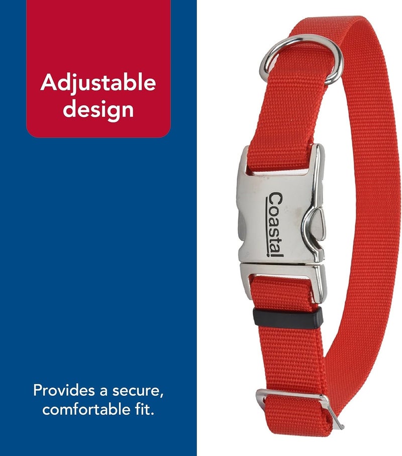 Coastal Adjustable Dog Collar with Metal Buckle - Red - 5/8" x 10"-14" for Small to Large Dogs - Image 5