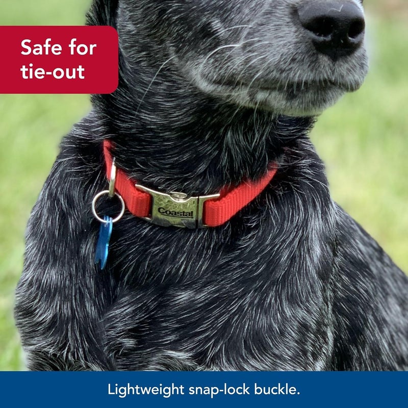 Coastal Adjustable Dog Collar with Metal Buckle - Red - 5/8" x 10"-14" for Small to Large Dogs - Image 4