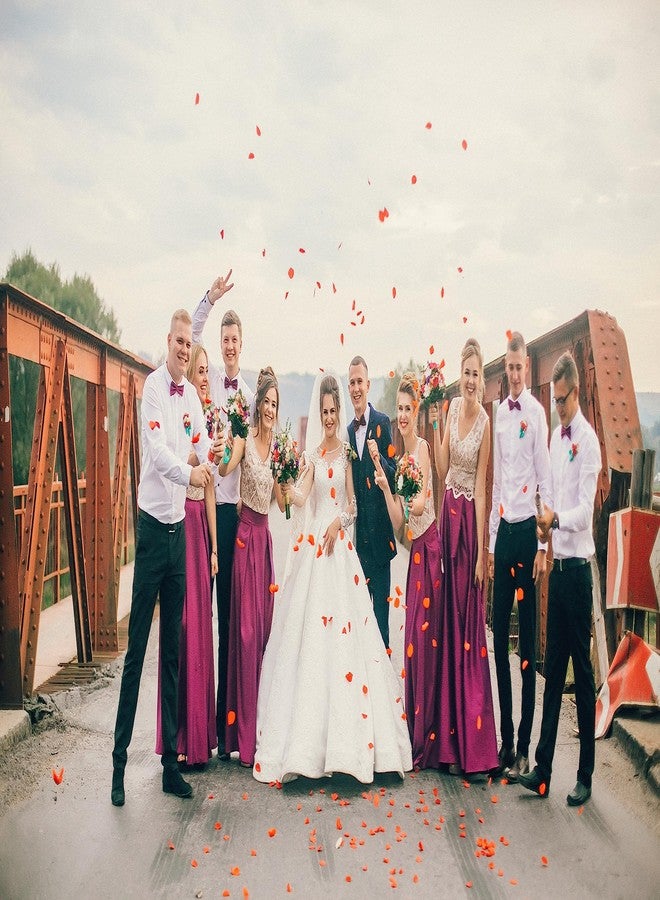 ربطات عنق رجالية من تريليس - ربطات عنق رجالية سادة جاهزة للارتداء الرسمي - ربطة عنق قابلة للتعديل - ربطات عنق نسائية (ذهبي وردي) - Image 5