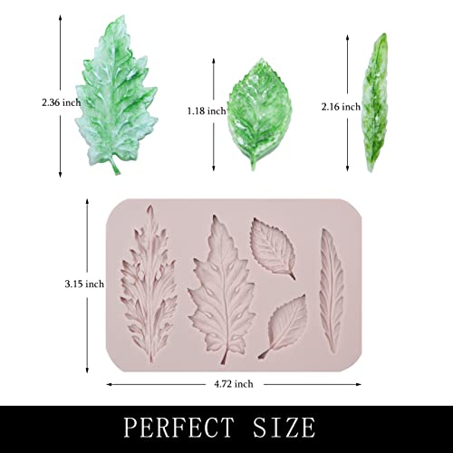 muyulin Leaf Fondant Molds, Ferns Silicone Chocolate Mould, Roses Flower Leaves for Cake Decorating Cupcake Topper Candy Sugar Gum Paste Resin Polymer Clay - Image 3