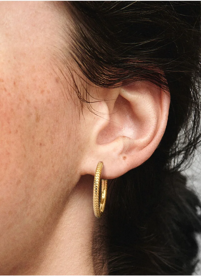 PANDORA Pandora Moments Charm Hoop Earrings