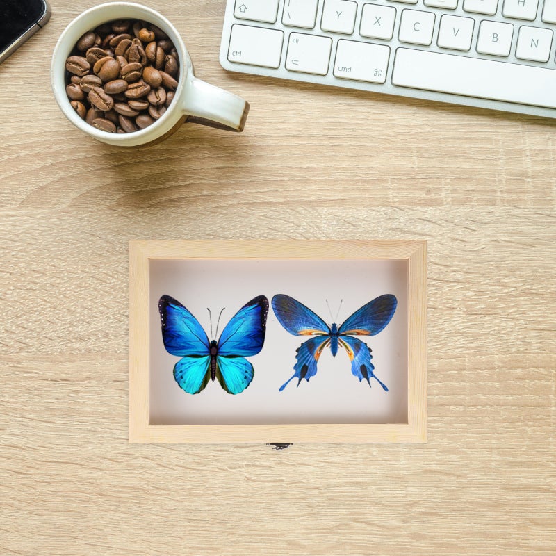 2pcs Box Unfinished Box with and EVA Board Specimen Display Case Frame Insect Showcase Jewelry Storage Tray Pine Wood Keepsake Box Home Decor - Image 4