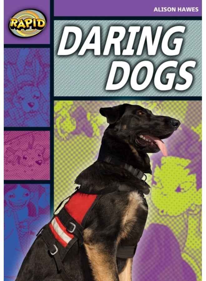 Rapid Stage 1 Set B Daring Dogs Series 1 - Paperback