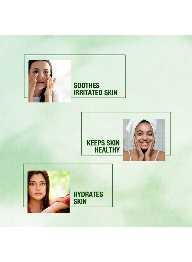 Sunny Aloe Vera Gel (100gm) & Apple Face Pack (150gm), Radiant, Glowing Skin, Fights Flaky, Patchy Skin, Protects from Free Radicals, Revitalizes, Freshens the Skin - Image 3