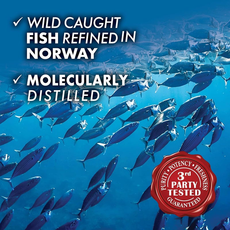 BlueBonnet Nutrition Omega3 Brain Formula Natural Wild Caught Triglyceride Form DHA 1000 mg EPA 210 mg Highly Concentrated Cognitive Health  Wellness Support Supplement GlutenFree Softgel YellowClear Lemon 120 Count - Image 4