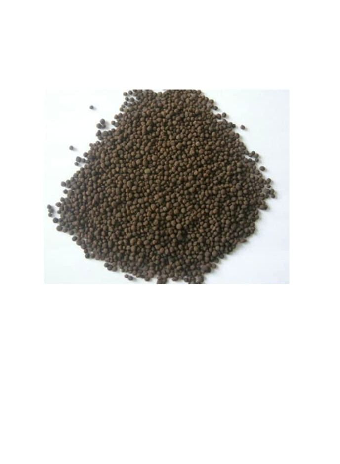 Rasayan All Purpose DAP Fertilizers Water Soluble for Plants and Gardening - 900g - Image 2