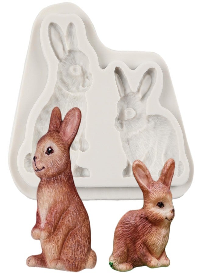 QDMOLDS قالب سيليكون على شكل أرنب من QDMOLDS، قالب حلوى شوكولاتة على شكل أرنب عيد الفصح لتزيين الكيك والكب كيك، مناسب لأعمال السكر، مصنوع من طين البوليمر، عجينة السكر. - Image 1