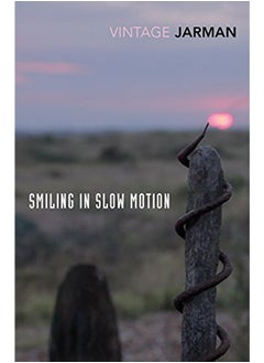 Smiling in Slow Motion: Diaries, 1991-94 