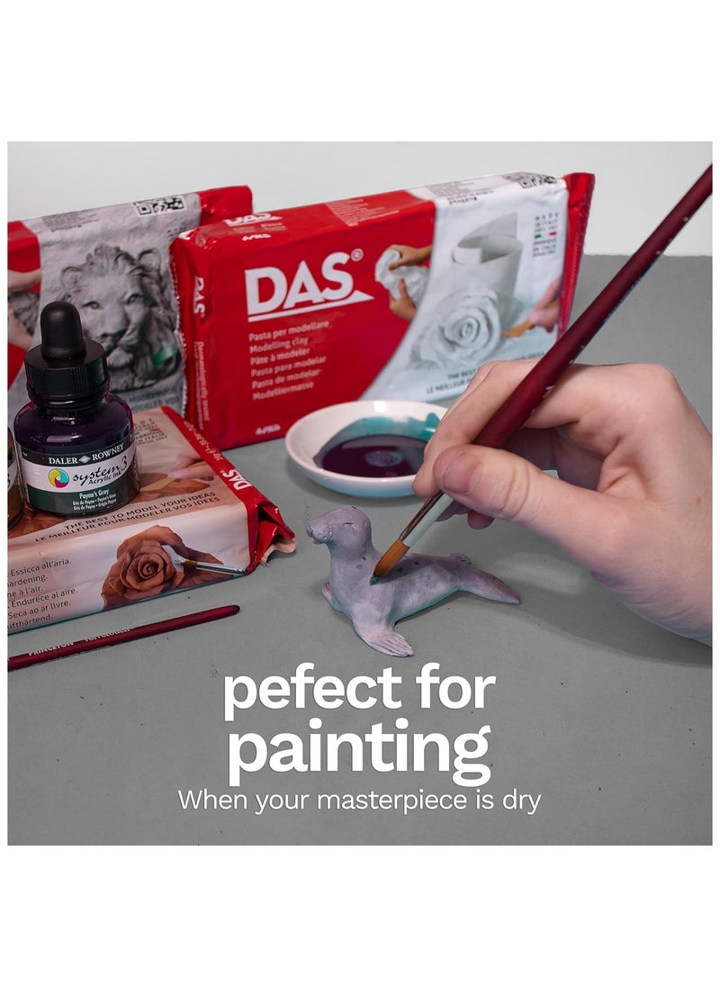 DAS - DAS CLAY DAS PRONTO WHITE 2.2 LBS - Image 1