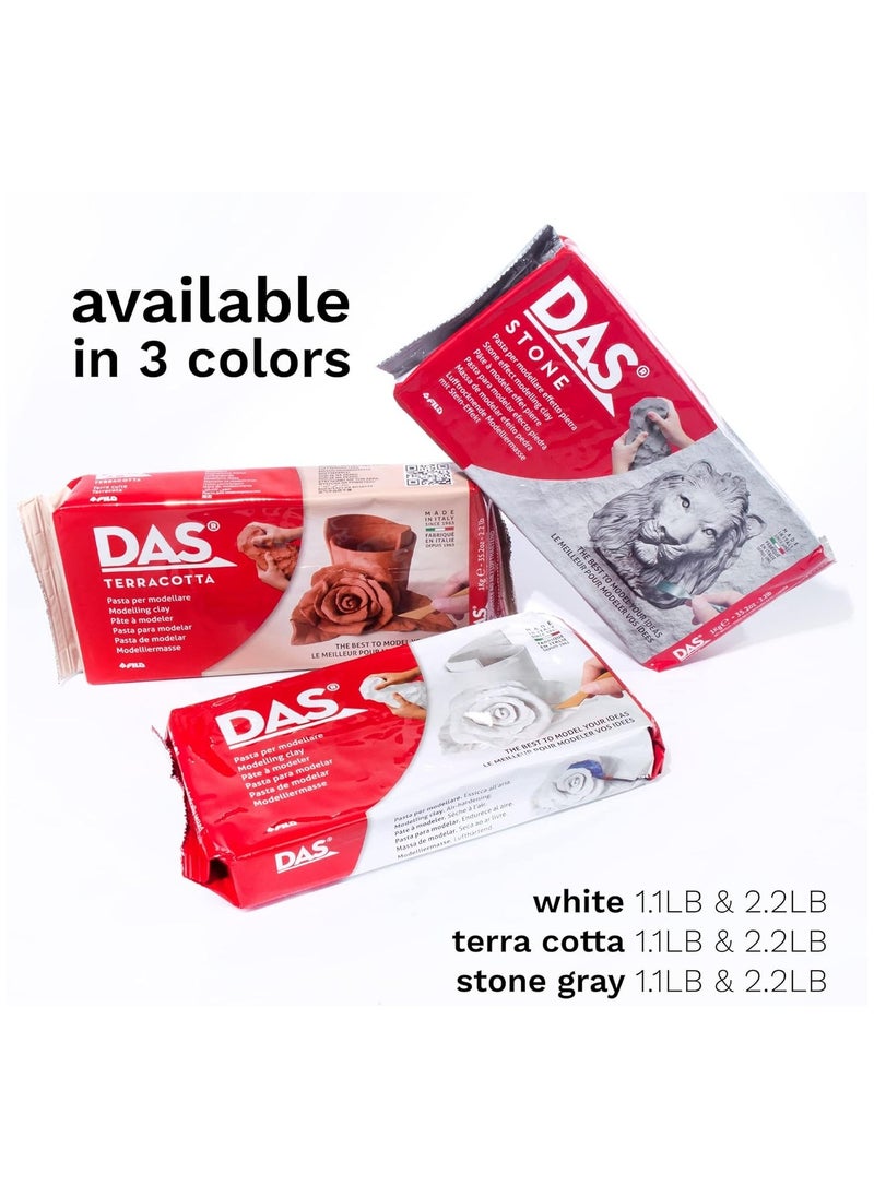 DAS - DAS CLAY DAS PRONTO WHITE 2.2 LBS - Image 1