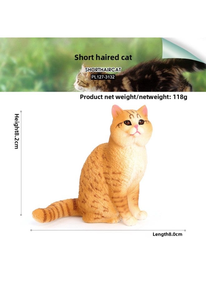 Simulation Animal Model Solid Static Domestic Cat Short-haired Cat Pet Cat Children Early Education Cognitive Toys Decorative Ornaments 