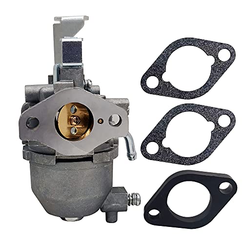 Joygowe Carburetor Compatible with Briggs Stratton 715473 select 138432 138437 138462 models