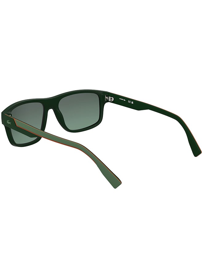 LACOSTE نظارات شمسية لاكوست كاملة الإطار L6057S 5717 (301) باللون الأخضر غير اللامع - Image 2