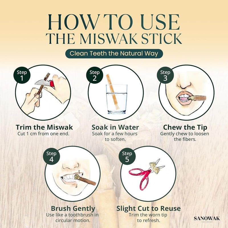 Black Zeitoun Miswak / 100% natural Siwak – 5 Olive Wood Toothbrushes with FREE Plastic Holder | Teeth Whitening & Oral Care | 100% Chewable & Antibacterial | Eco-Friendly & Vacuum Sealed - Image 4