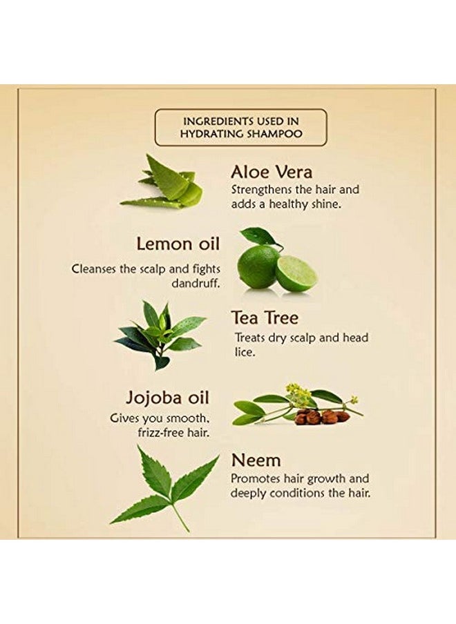 Ancient Living Hydrating Shampoo Free From Parabens & Sulfates - 200 Ml  - Image 4