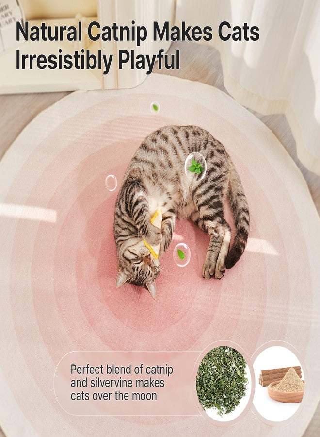 Potaroma Loofah Cat Chew Toys with Catnip and Silvervine, 3PCS Interactive Kitten Loofa Dental Teething and Biting Catnip Toys for Cat's Dental Cleaning, 3.2 Inches - Image 5