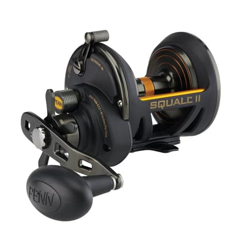 Penn Fathom II Star Drag Reel Size 15 Fishing Reel Right Handle Position Black Gold - Image 1