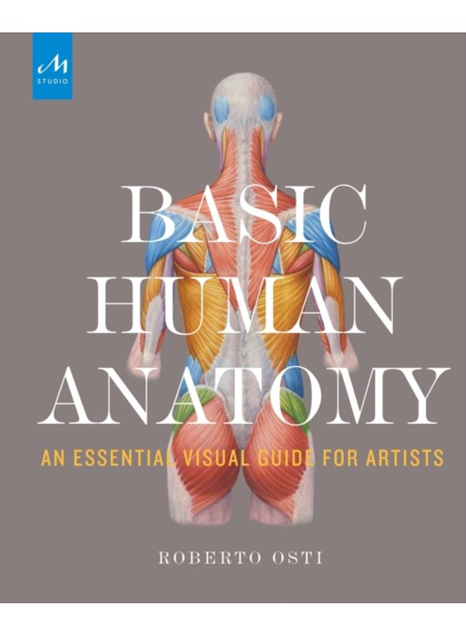 Basic Human Anatomy : An Essential Visual Guide for Artists 