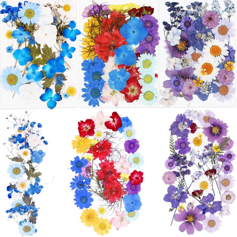 BIHRTC بي إتش آر تي سي 100 قطعة من الزهور والأوراق المجففة المضغوطة الطبيعية زهور عباد الشمس وزهور الأقحوان وزهور الأقحوان لصنع المجوهرات من الراتنج وصنع الصابون والشموع DIY