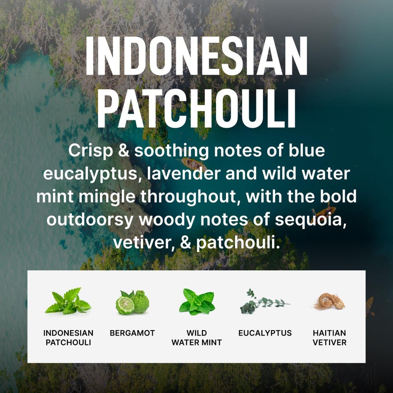 Laundry Sauce - Laundry Fabric Softener (Indonesian Patchouli) Luxury Fragrance, Softens & Preserves Fabric, Reduces Wrinkles, 19 Fl Oz - Image 5