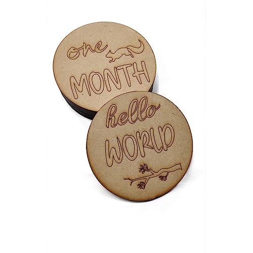 Haoser Baby Milestones, Discs, Baby Milestone Wooden Markers, Newborn Photo Prop, Baby Milestone Blocks, Baby Milestone Cards, Gift, 13 Count - Image 1