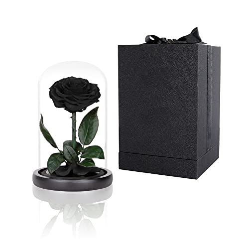 Perfectione Roses Preserved Roses Black Roses in Glass Dome Medium Preserved Flowers for Mothers Day Gifts for Women  - Image 1