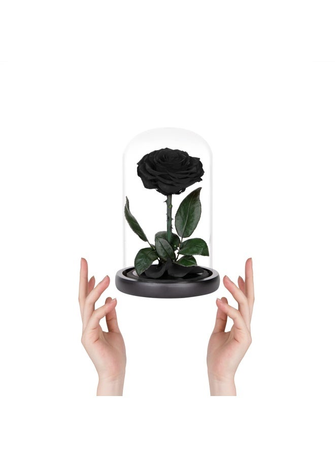 Perfectione Roses Preserved Roses Black Roses in Glass Dome Medium Preserved Flowers for Mothers Day Gifts for Women  - Image 3