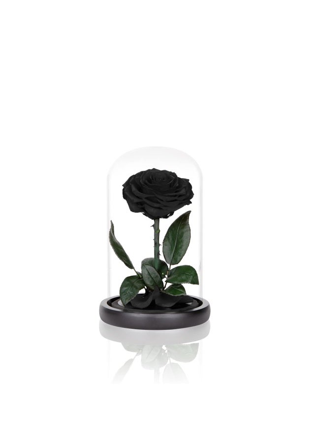 Perfectione Roses Preserved Roses Black Roses in Glass Dome Medium Preserved Flowers for Mothers Day Gifts for Women  - Image 5
