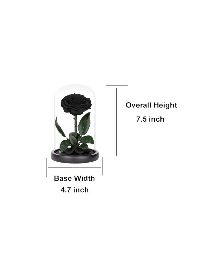 Perfectione Roses Preserved Roses Black Roses in Glass Dome Medium Preserved Flowers for Mothers Day Gifts for Women  - Image 2