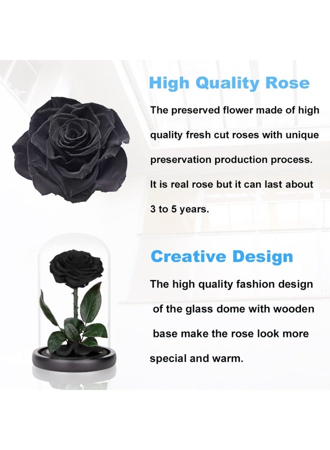 Perfectione Roses Preserved Roses Black Roses in Glass Dome Medium Preserved Flowers for Mothers Day Gifts for Women  - Image 4