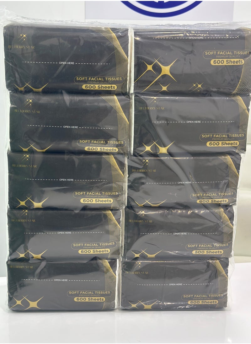 BLUEBERRY STAR Blueberry Star, Soft Facial Tissues, 600 Sheets Per Pack,10 Pack Bundle, Premium Quality  - Image 4