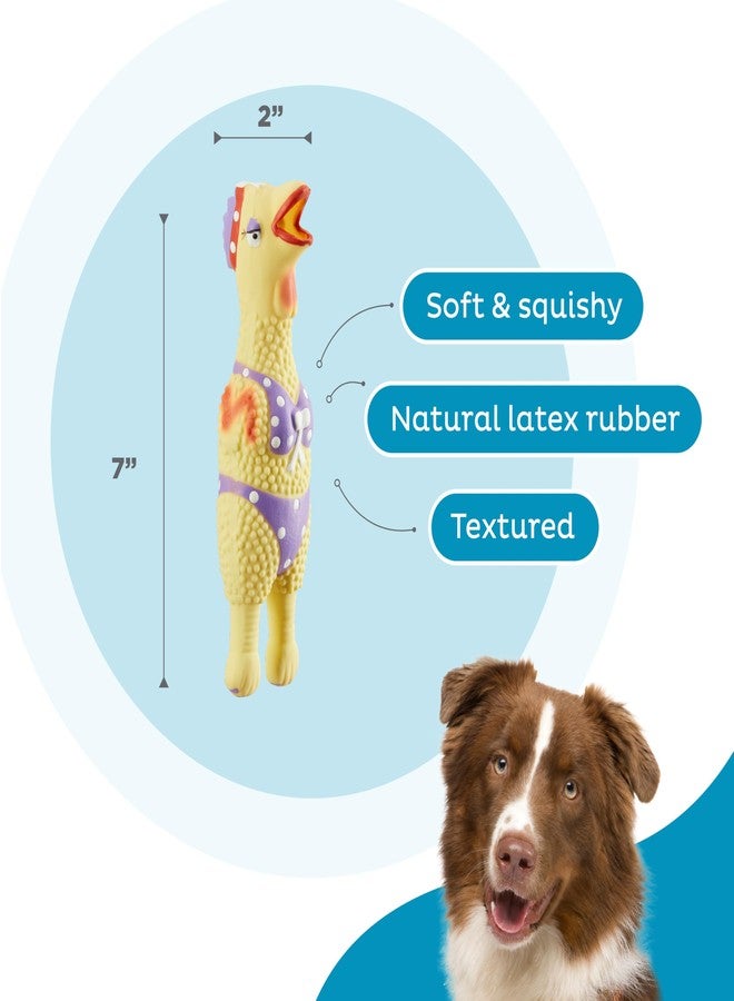 Outward Hound by Charming Pet Squawkers Henrietta Latex Squeaky Rubber Chicken Dog Toy, Funny Interactive Holiday Toy for Dogs, Small Size - Image 3