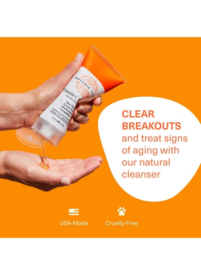 Botanic Tree Vitamin C Face Wash Facial Cleanser For All Skin Types Aging Skin Dry Skin Minimizing Acne Scars Brightening Reduce Breakouts Face Wash For Women & Men  - Image 5