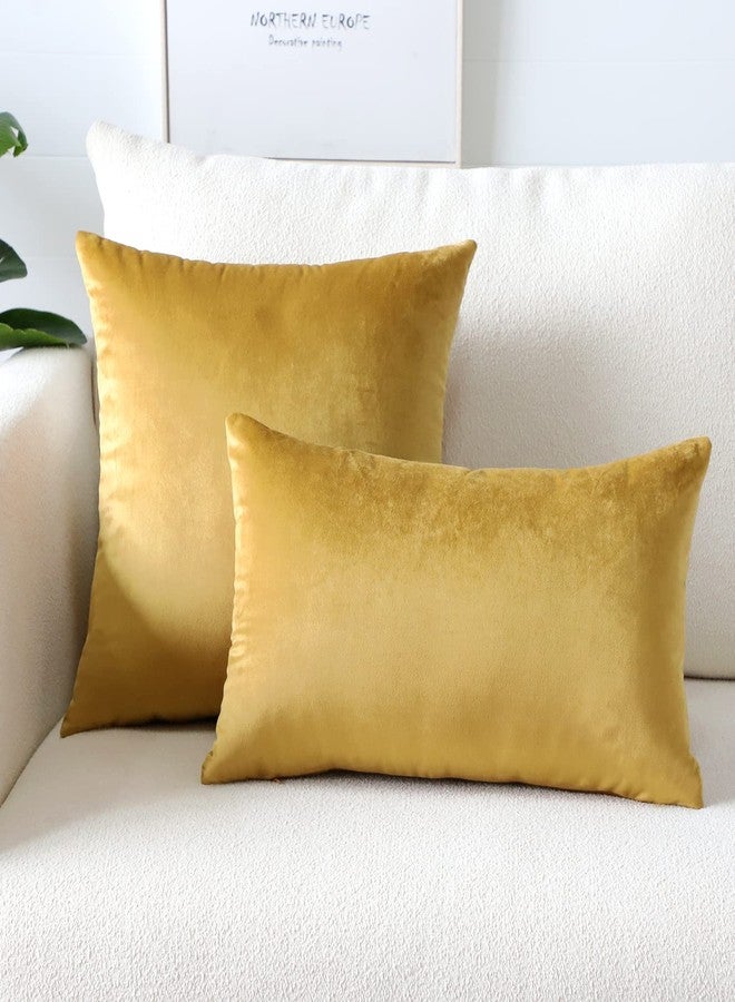 Artscope Luxury Velvet Pillow Covers Super Soft Decorative Square Throw Pillow Covers Case Cushion Covers for Sofa Couch Bedroom Car Decor 12x20 Inch Gold - Image 2