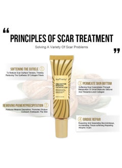 JoyPretty Shea Butter Intensive Scar Vanishing Cream, Scars Removal Gel to Repair Damaged Skin from Burns, Surgery and Acne Visibility, Effective Scar Treatment, 40g  - Image 3
