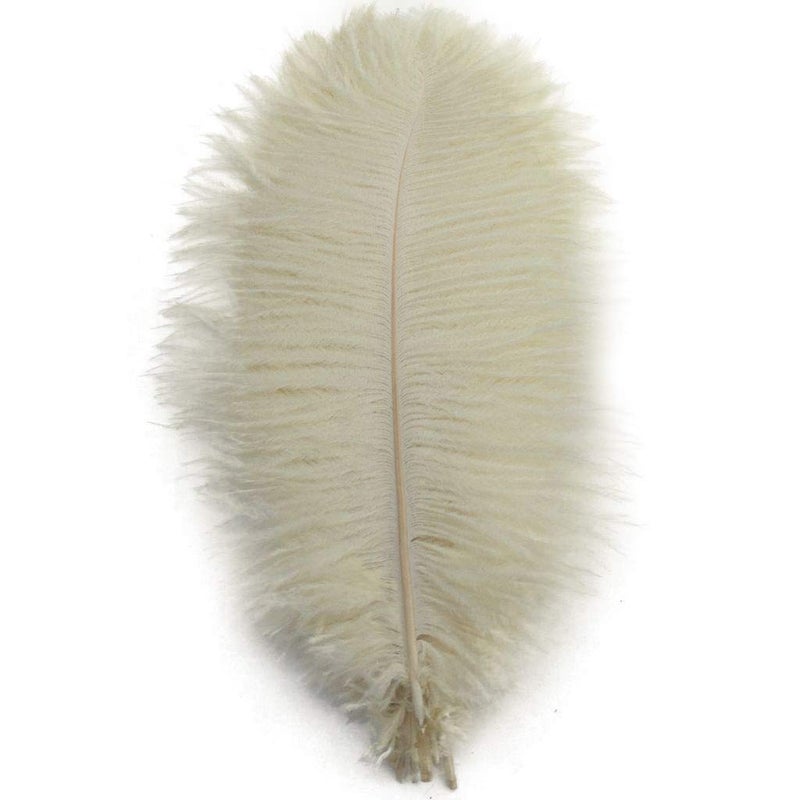 Shekyeon 1012inch 2530cm Ostrich Feather Home Decoration DIY Craft Pack of 10 Ivory