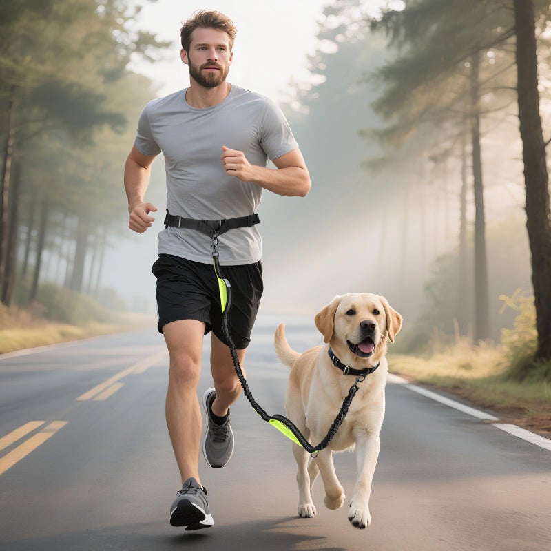 ITNAST Hands Free Dog Leash for Medium Large Dogs, Waist Support Padded Bungee Dog Running Leash with Reflective Stitching for Walks, Jogging, Running, Hiking, and Dog Training - Image 2