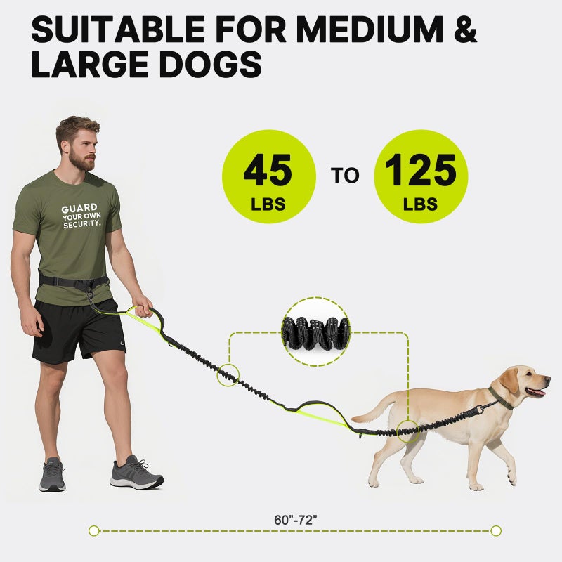 ITNAST Hands Free Dog Leash for Medium Large Dogs, Waist Support Padded Bungee Dog Running Leash with Reflective Stitching for Walks, Jogging, Running, Hiking, and Dog Training - Image 4
