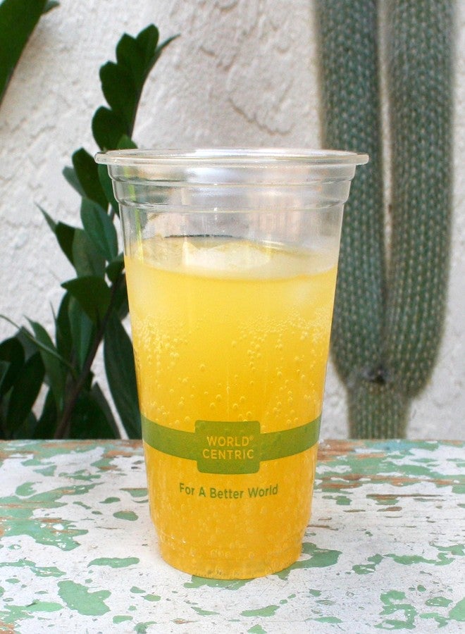 World Centric Compostable Cups 12 oz - Clear Cold Cups Made from Plants - 200 Pack - Image 4