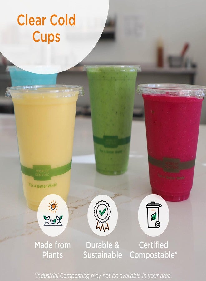 World Centric Compostable Cups 12 oz - Clear Cold Cups Made from Plants - 200 Pack - Image 5