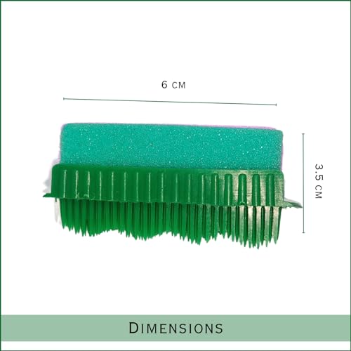 TRITON Professional 2 in 1 Feet Dead Skin Remover Pumice Stone with Brush Scrubber Foot Brush for Soft heels Pedicure Stone for Men and Women Green - Image 2