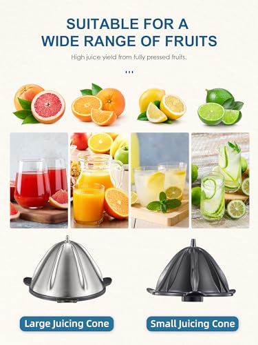 QCen Electric Citrus Juicer Squeezer, Electric Juicer for Orange, Lemon and Limes with Rubber Handle and Two Size Cones, Anti-Drip Spout, Easy to Clean and Use, BPA Free, Black/Stainless Steel - Image 2